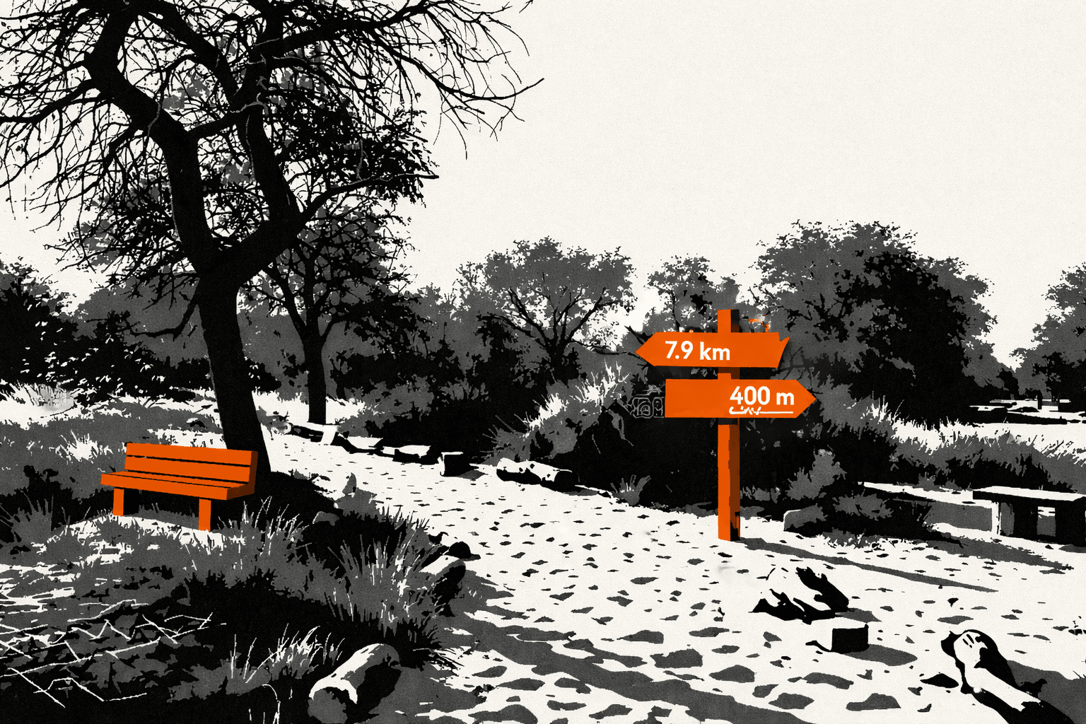Mushrif Park / Hiking Trail