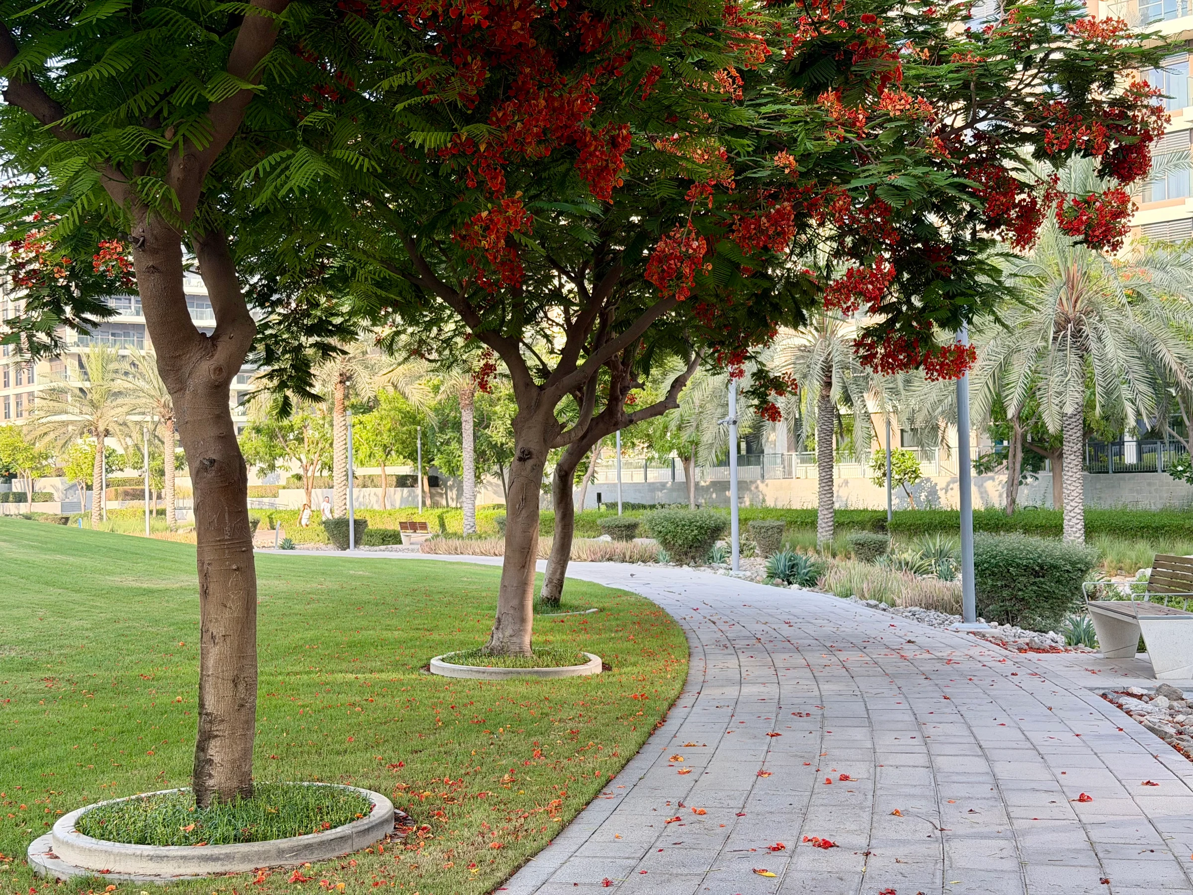 Dubai Hills Park - Emaar photo 2