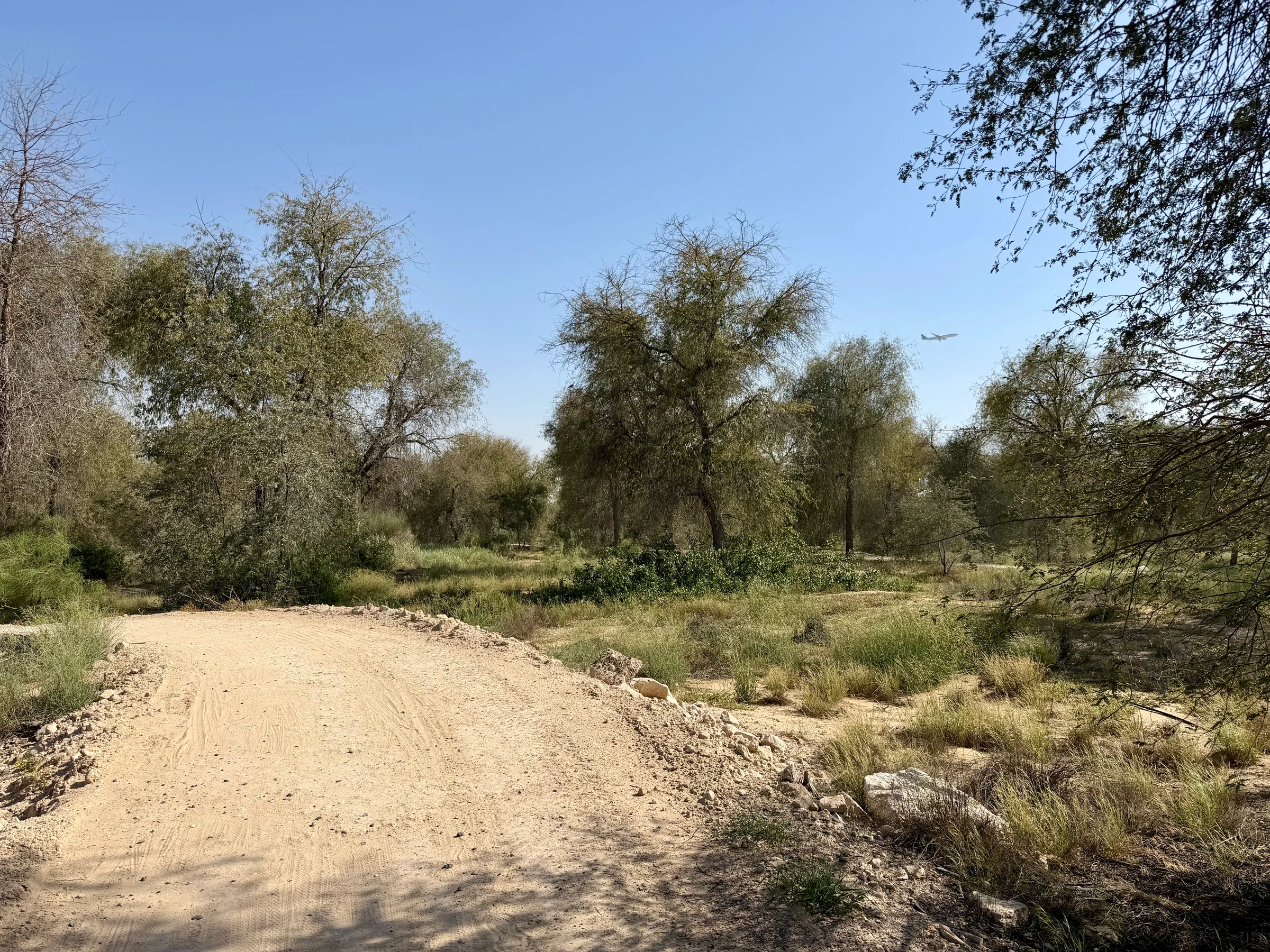 Mushrif Park / Hiking Trail photo 3