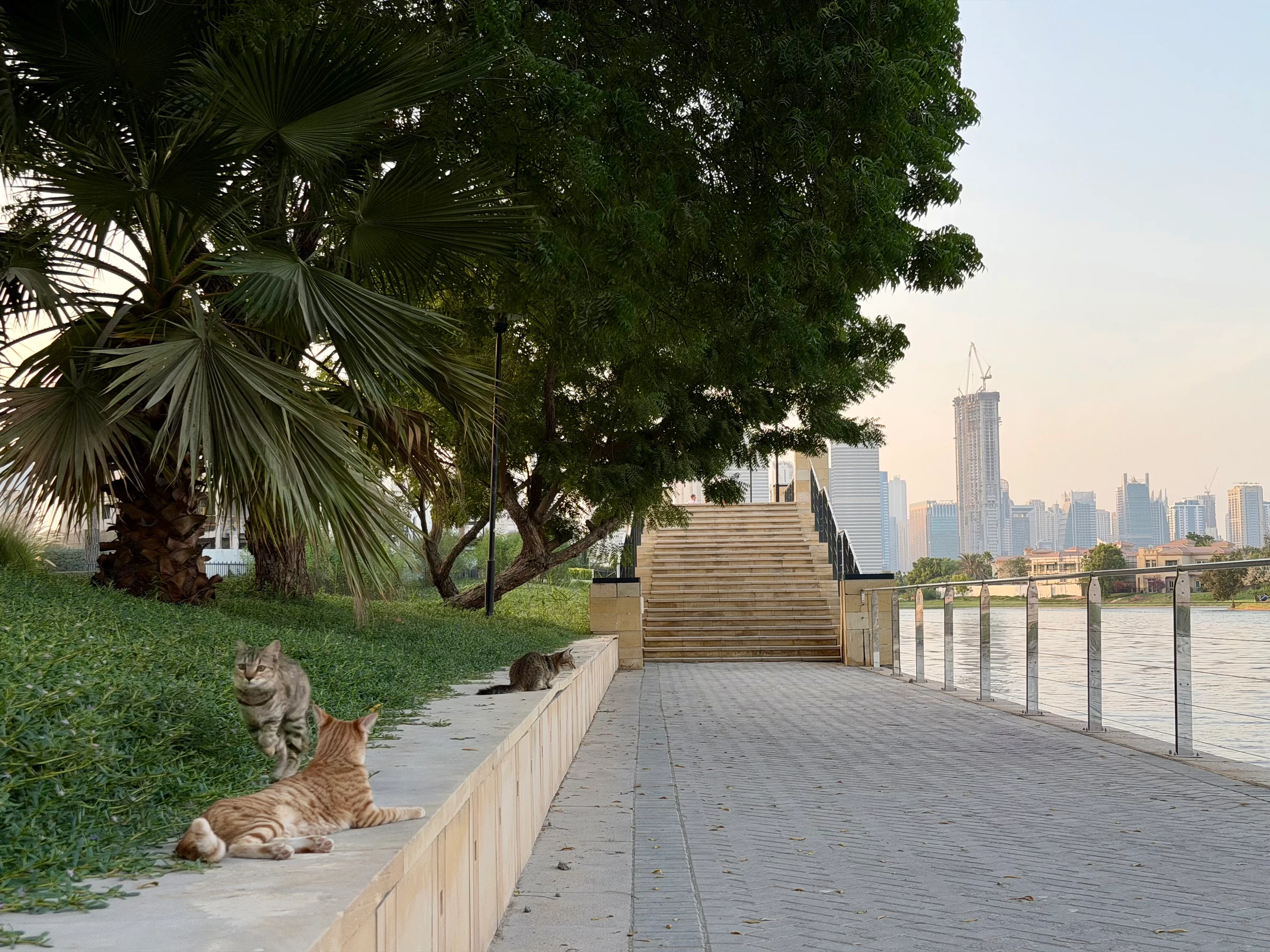 Jumeirah Islands photo 2