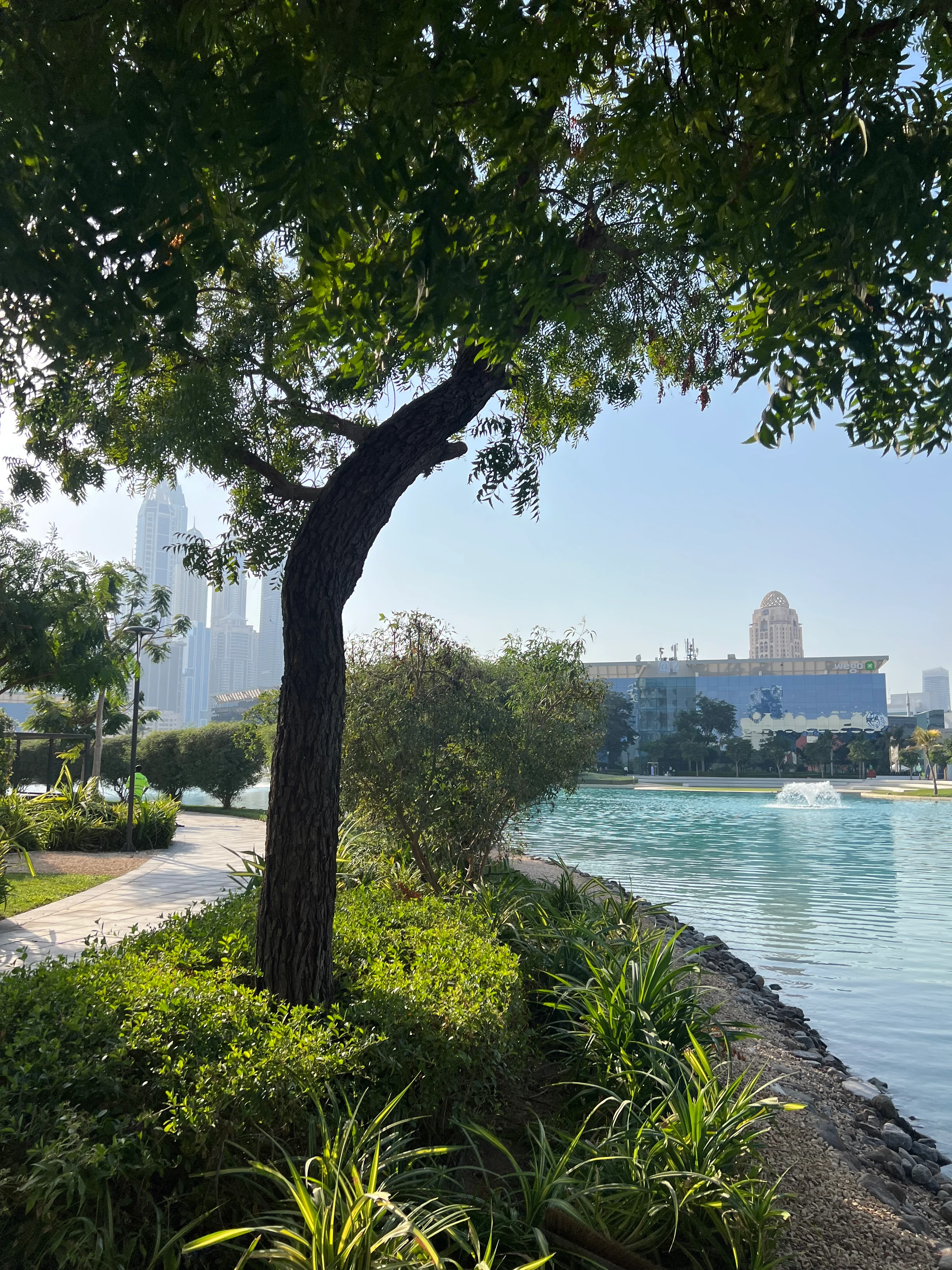 Media City Lake Walk - Park promenade photo 1