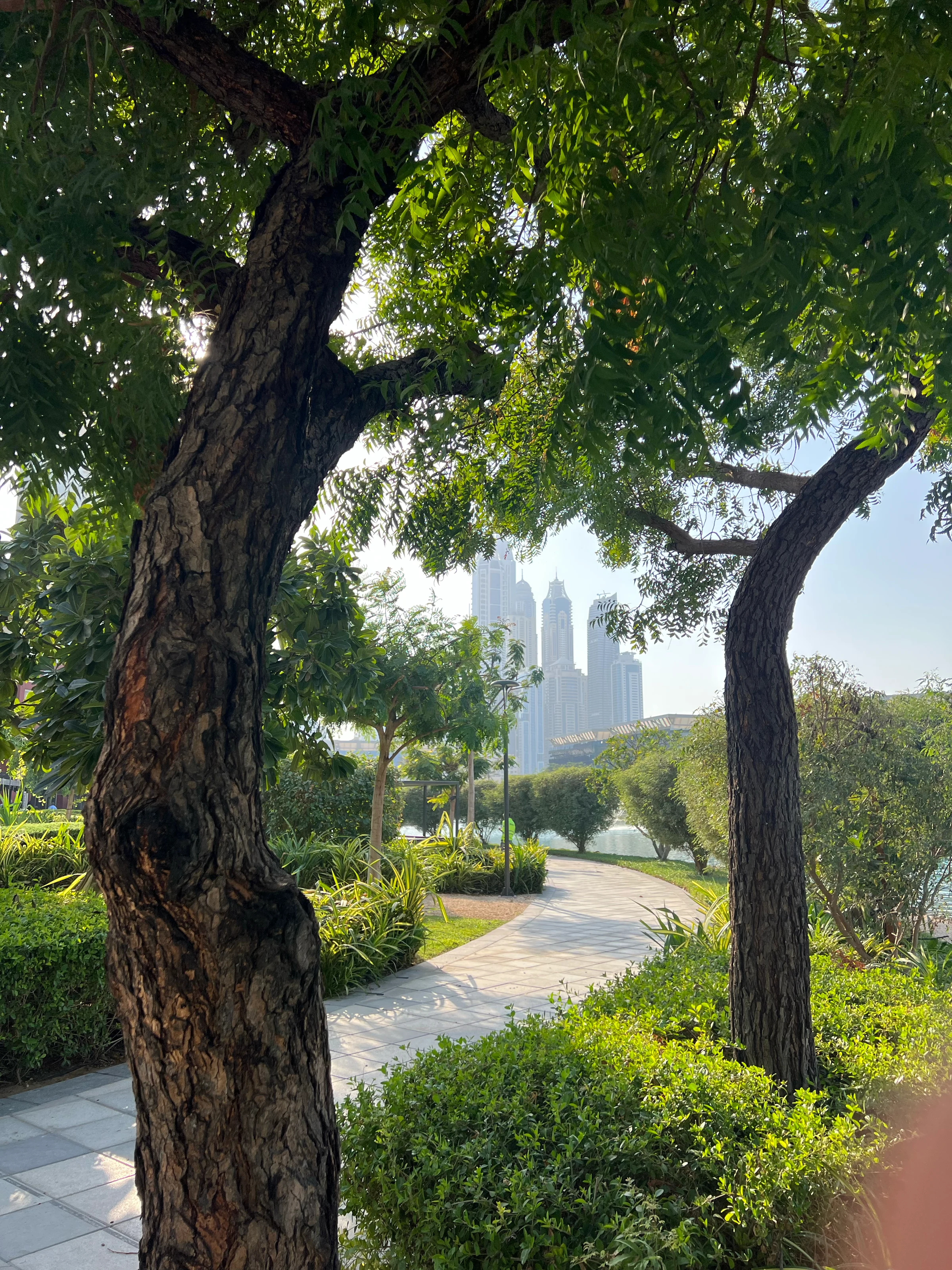 Media City Lake Walk - Park promenade photo 2